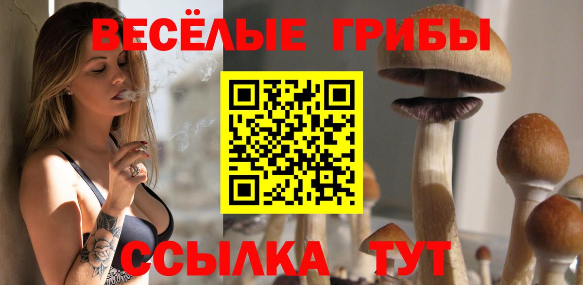 Псилоцибиновые грибы Cubensis Реж